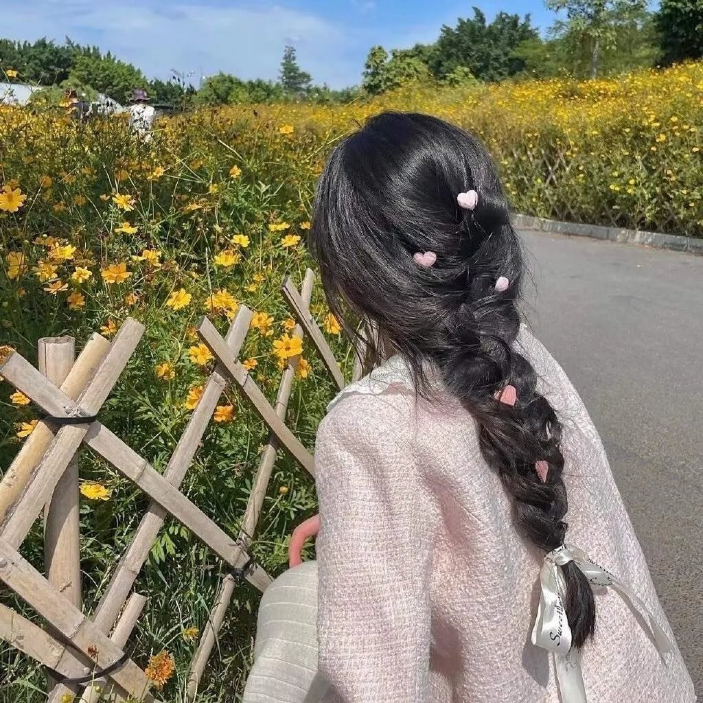海龟们